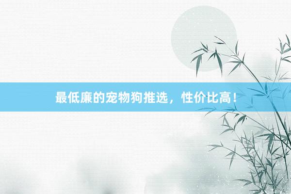 最低廉的宠物狗推选，性价比高！