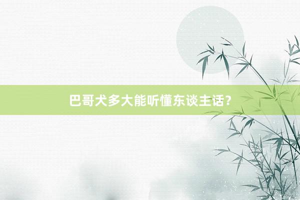 巴哥犬多大能听懂东谈主话？